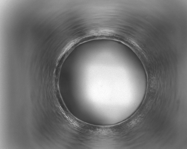 X0000058140978200510072027