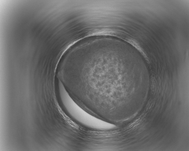 X0000058140980200510072027