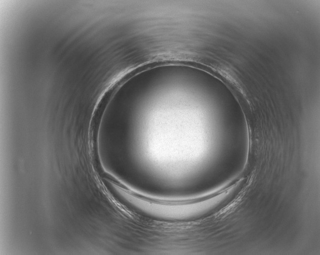 X0000058140981200510072027