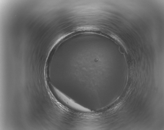 X0000058140983200510072027