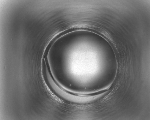 X0000058140984200510072027