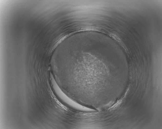 X0000058140985200510072027