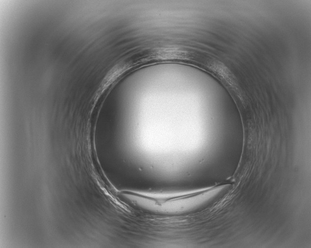 X0000058140986200510072027