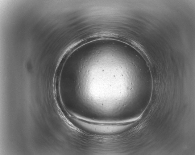 X0000058140987200510072027