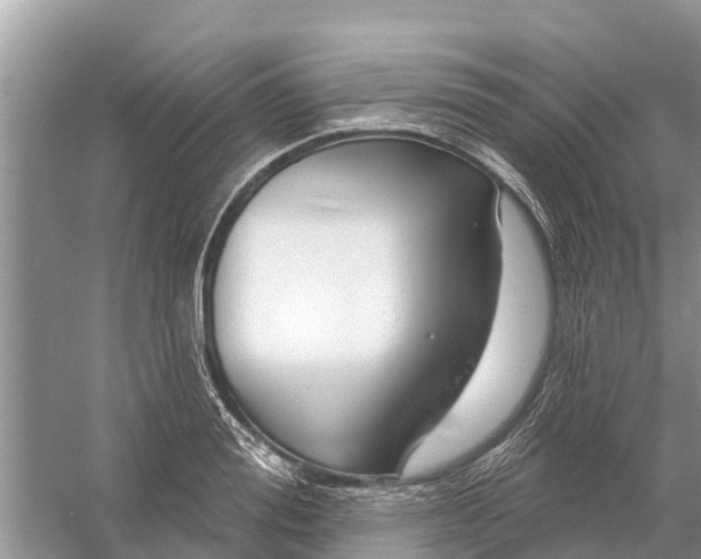 X0000058140988200510072027