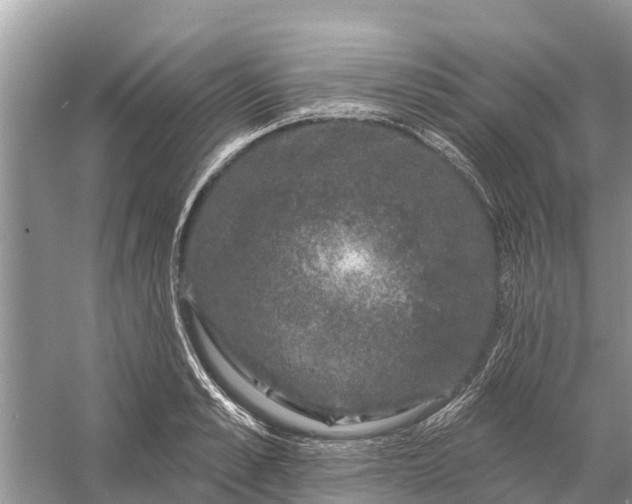 X0000058140989200510072027