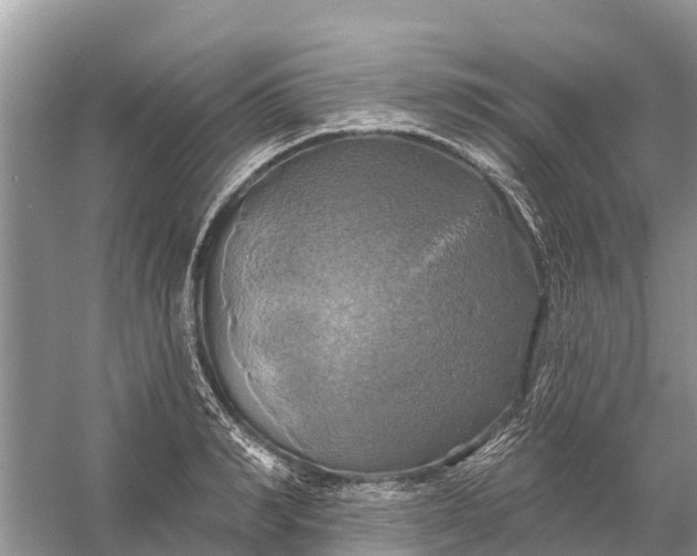 X0000058140990200510072027