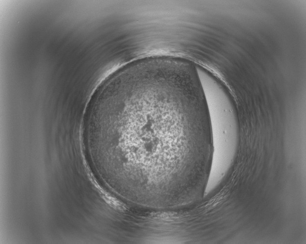 X0000058140991200510072027