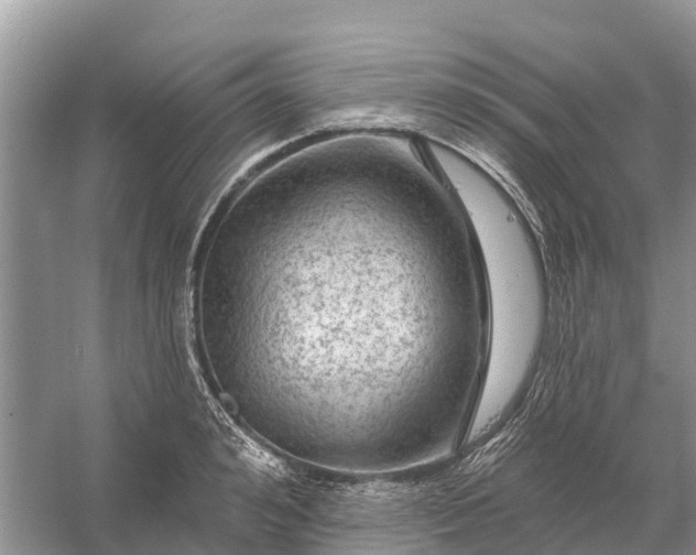 X0000058140992200510072027