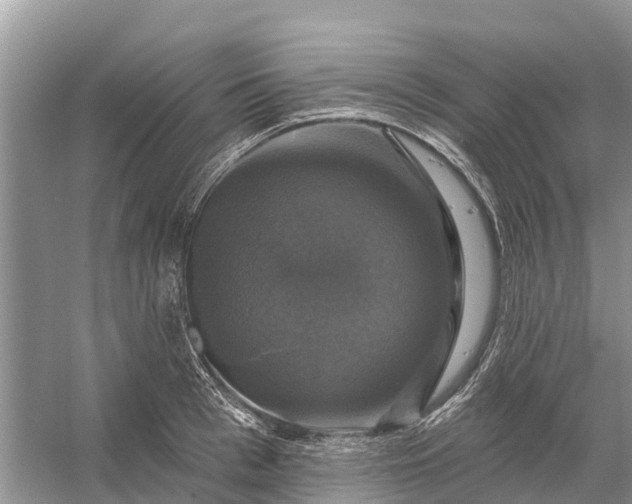 X0000058140993200510072027