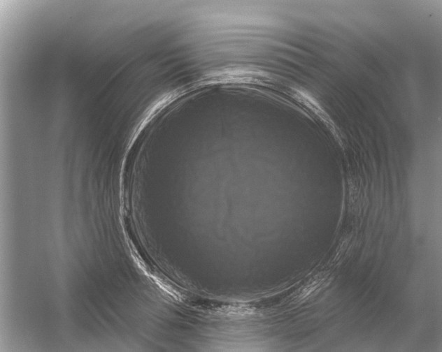 X0000058140994200510072027