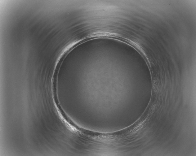 X0000058140995200510072026