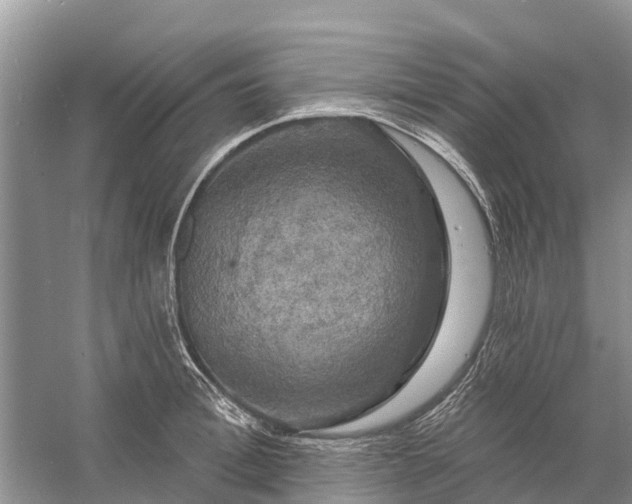 X0000058140996200510072026