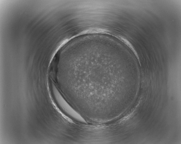 X0000058140997200510072026