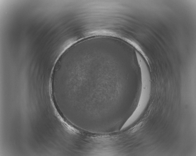 X0000058140999200510072026