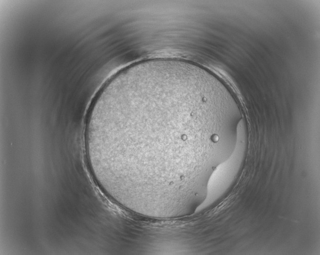 X0000058141000200510072026