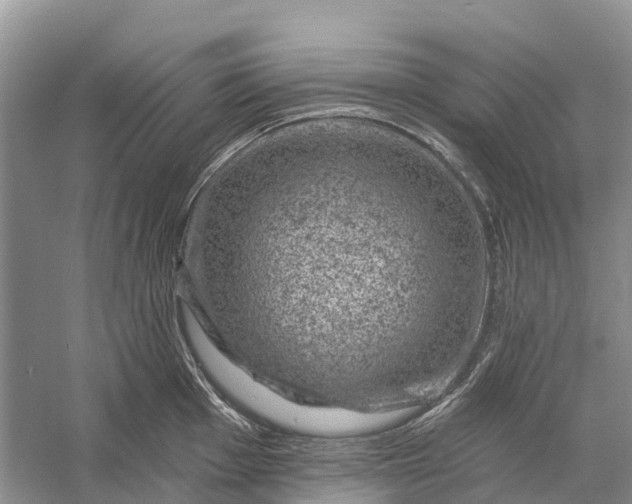 X0000058141001200510072026