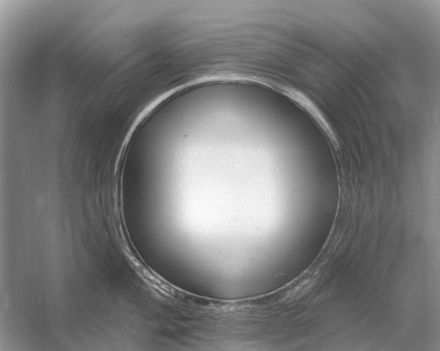 X0000058141004200510072026