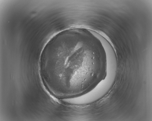 X0000058141005200510072026