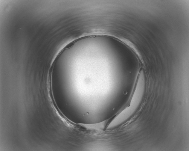 X0000058141006200510072026