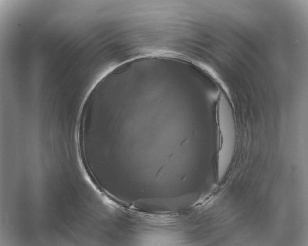 X0000058141007200510072026