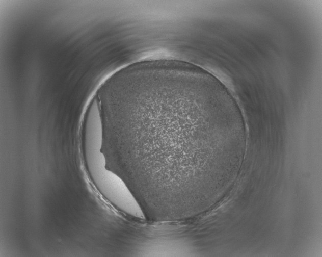 X0000058141008200510072026