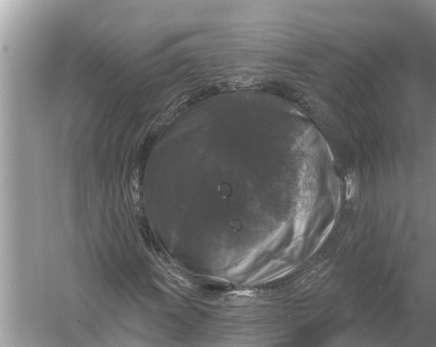 X0000058141011200510072025