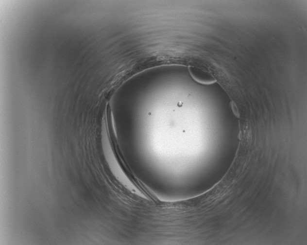 X0000058141012200510072026