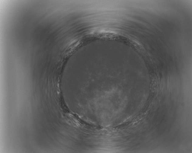 X0000058141013200510072026