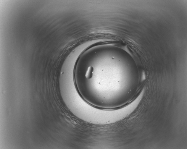 X0000058141014200510072026