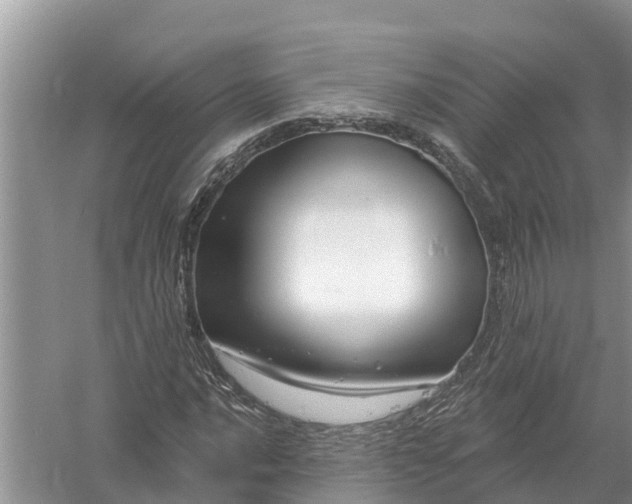 X0000058141016200510072026