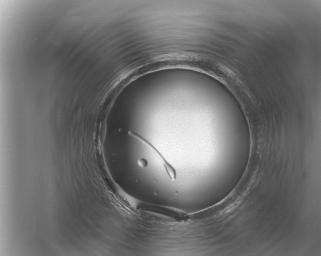 X0000058141017200510072026