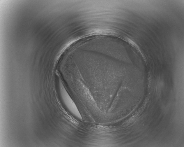 X0000058141019200510072026