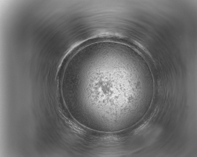 X0000058141021200510072026