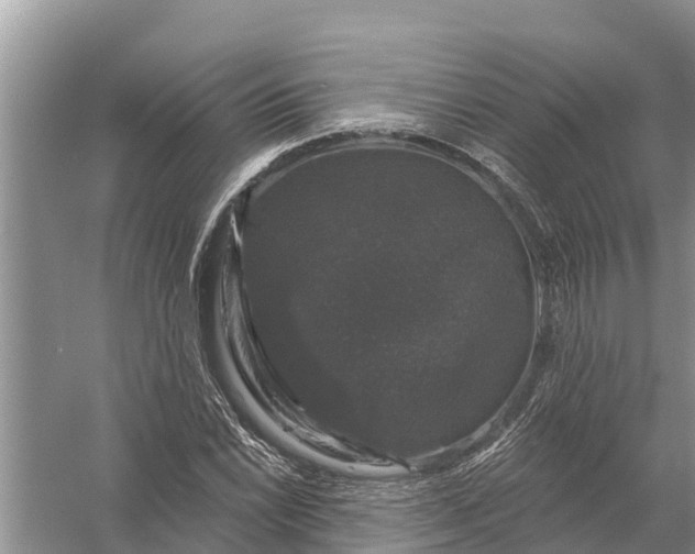 X0000058141022200510072026