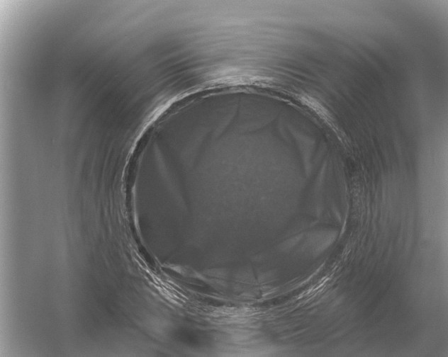 X0000058141023200510072026