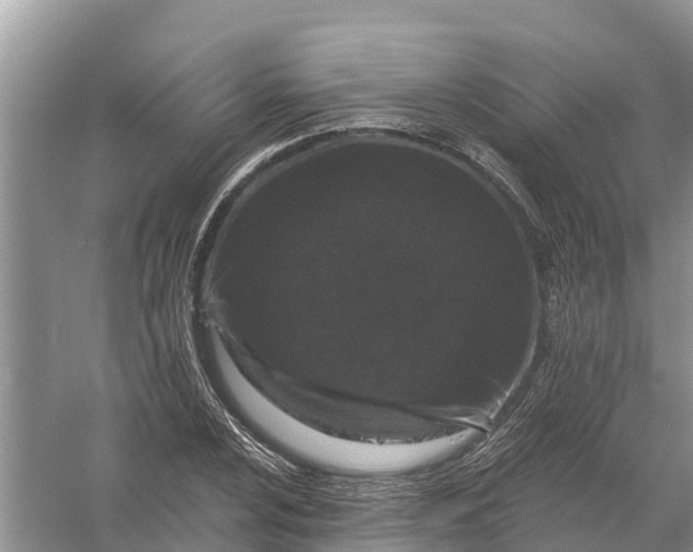 X0000058141024200510072026