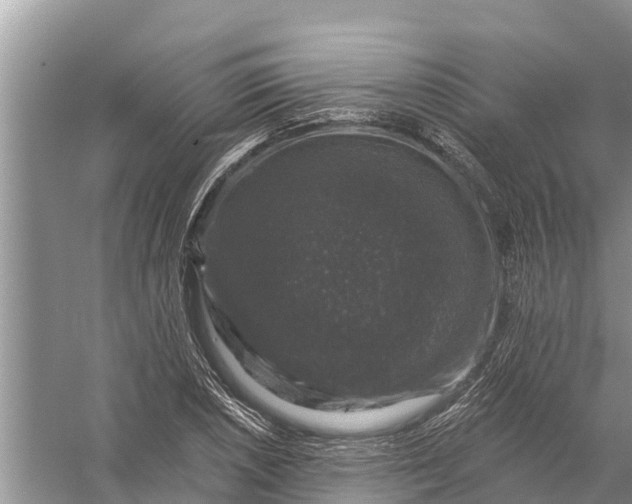 X0000058141026200510072026