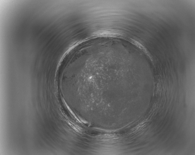 X0000058141027200510072026