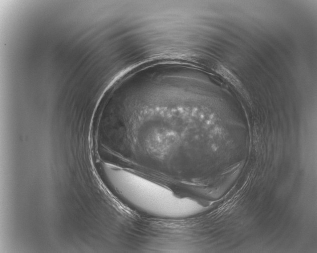 X0000058141028200510072026