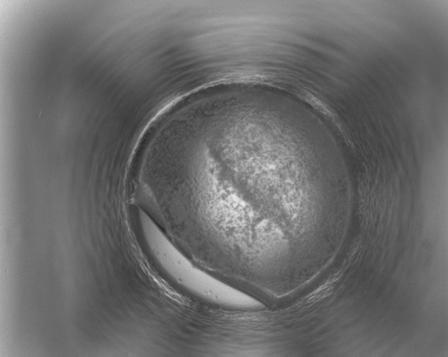 X0000058141029200510072026