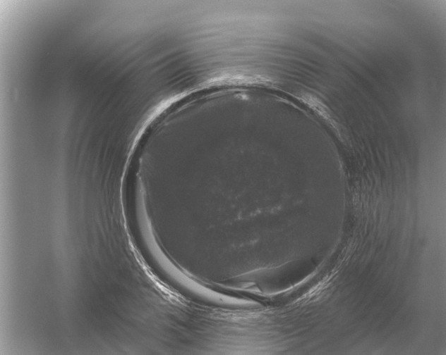 X0000058141030200510072026