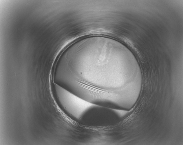 X0000058141032200510072026