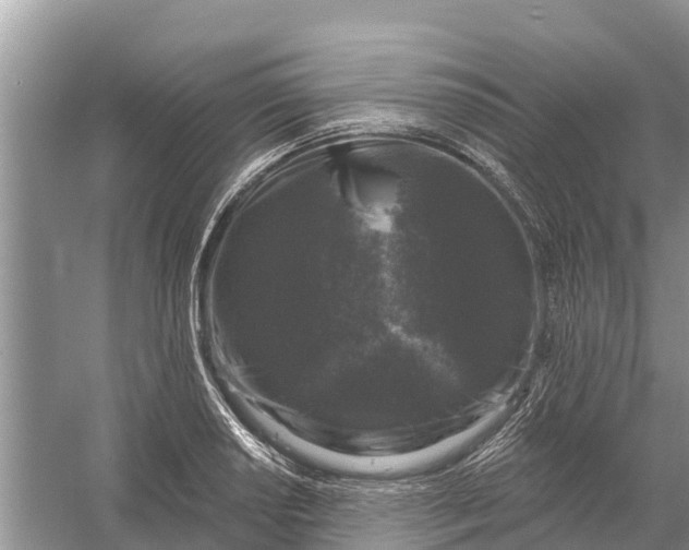 X0000058141034200510072026