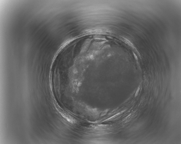 X0000058141035200510072026