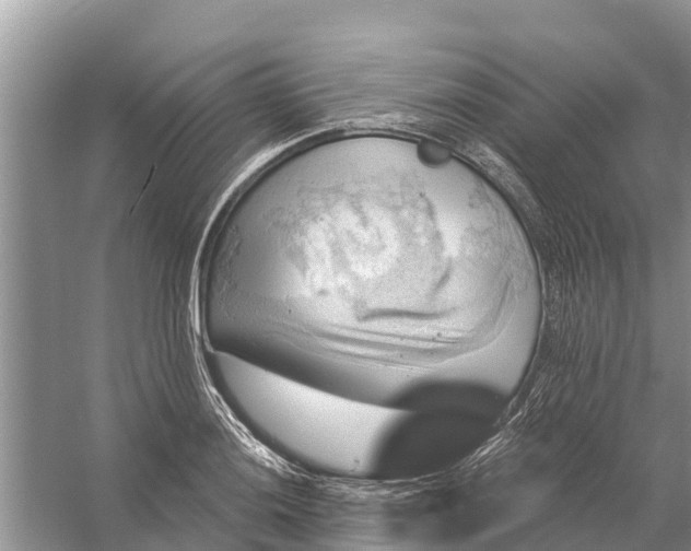 X0000058141036200510072026