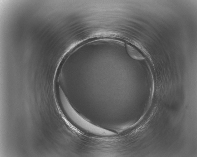 X0000058141037200510072026