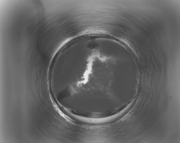 X0000058141038200510072026