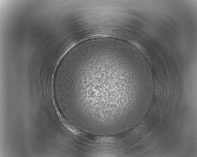 X0000058141039200510072026