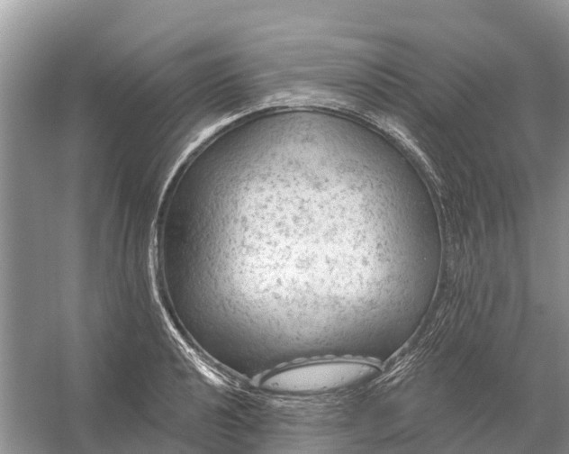 X0000058141040200510072026